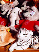 P&M Amusements' Cuddly Toy prizes